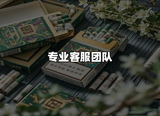 专业优势